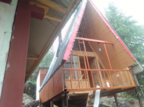 Nature nest Tree house jibhi